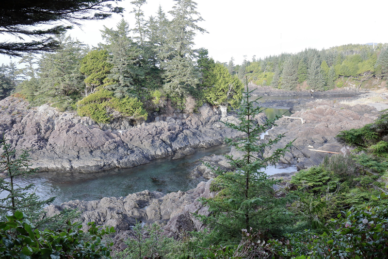 Illustration for article titled Trip Recap: 2017-12-09 on the Pacific Rim Highway to the Wild Pacific Trail